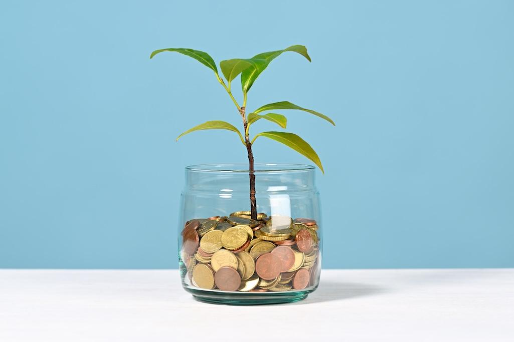 plant-growing-out-of-coin-jar-2025-08-11-11-19-35-utc.jpg