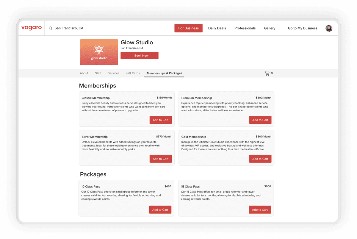 Software screen showing a San Francisco salon's memberships and packages for sale