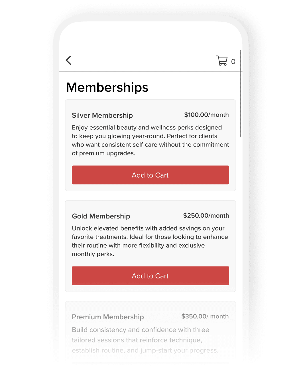 Mobile software screen showing a salon's memberships and packages offerings