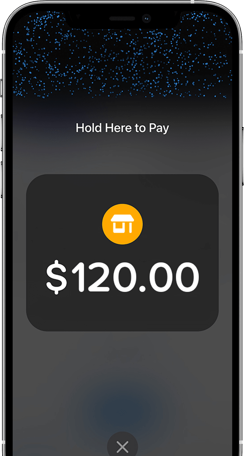 Vagaro Connect App Phone